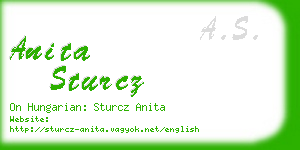 anita sturcz business card